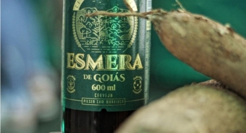 Goiás apoia produção de mandioca com cultivares de alto valor genético